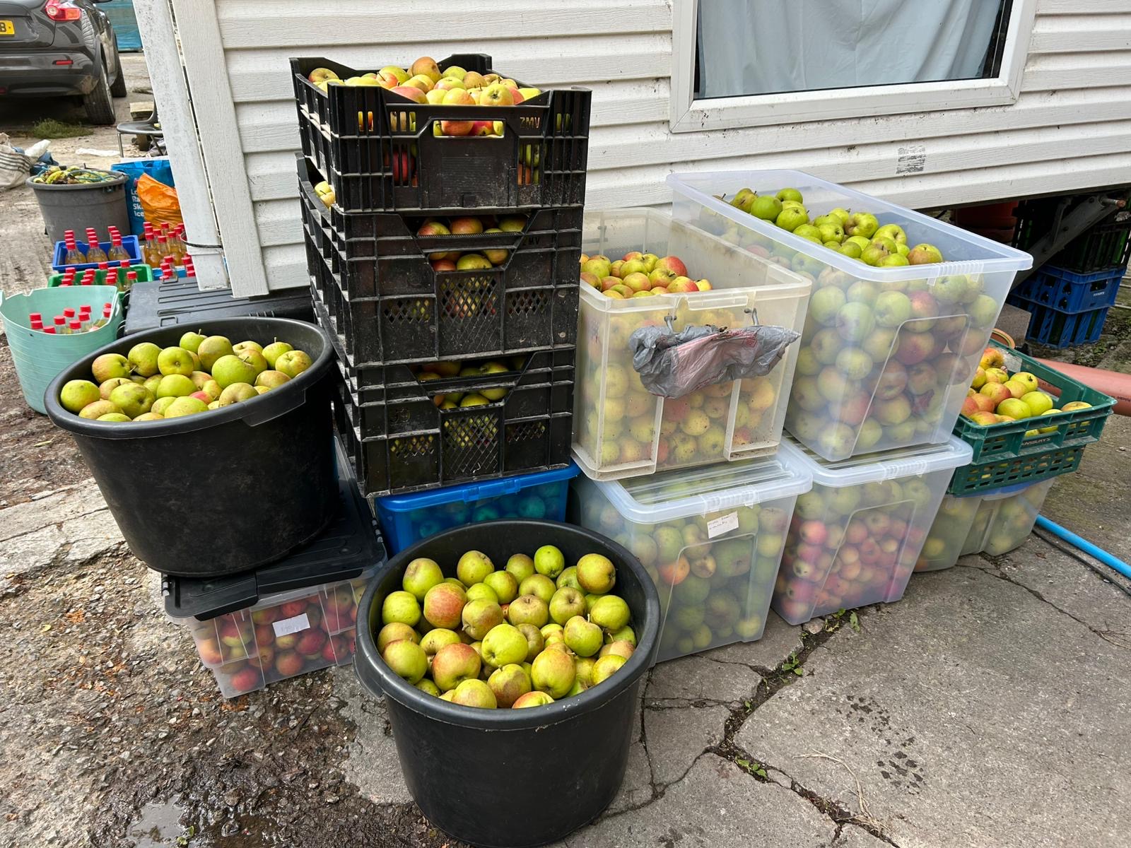 Some of last years haul!