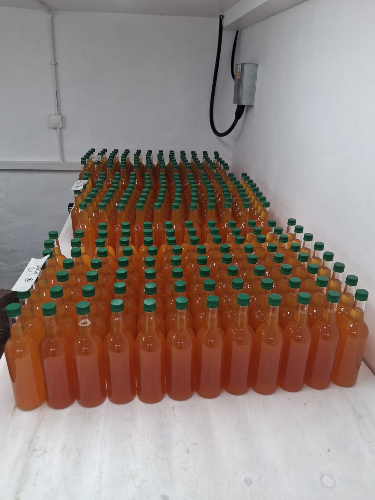 A full day's worth of juice ready to go