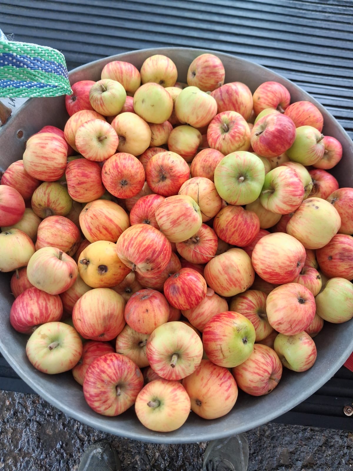 Beautiful apples ready for pressing