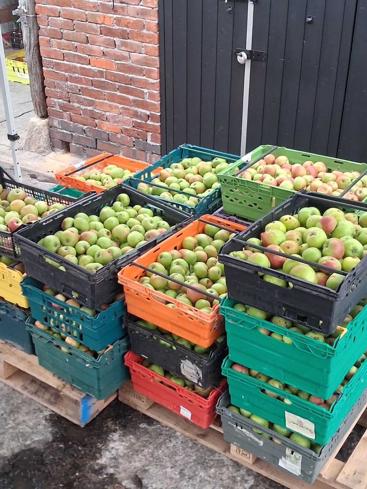 Last year's haul waiting to be pressed